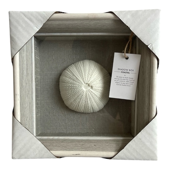 Coastal Shadow Box Sea Urchin Shell Wall Art Beach Wall Hanging Nautical Decor - Picture 2 of 6